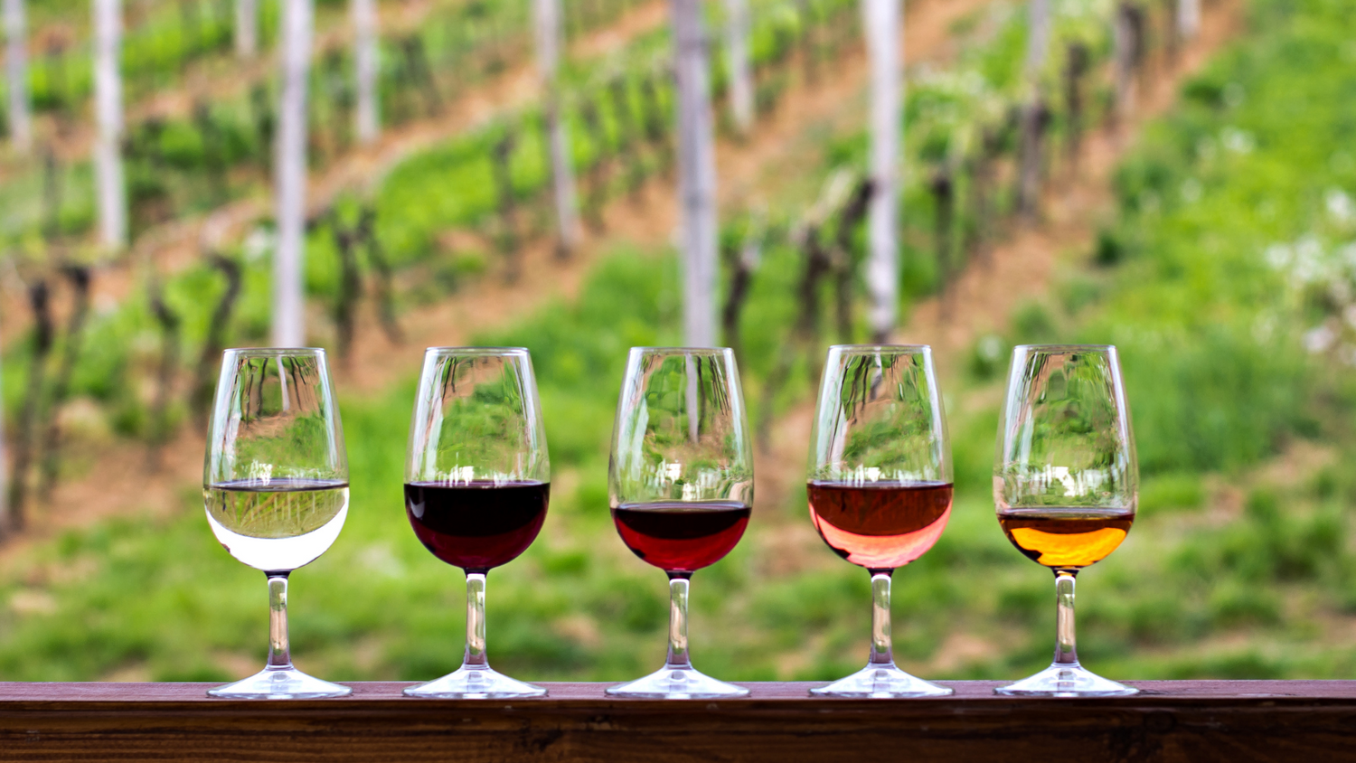 Discovery Wines & Spirits