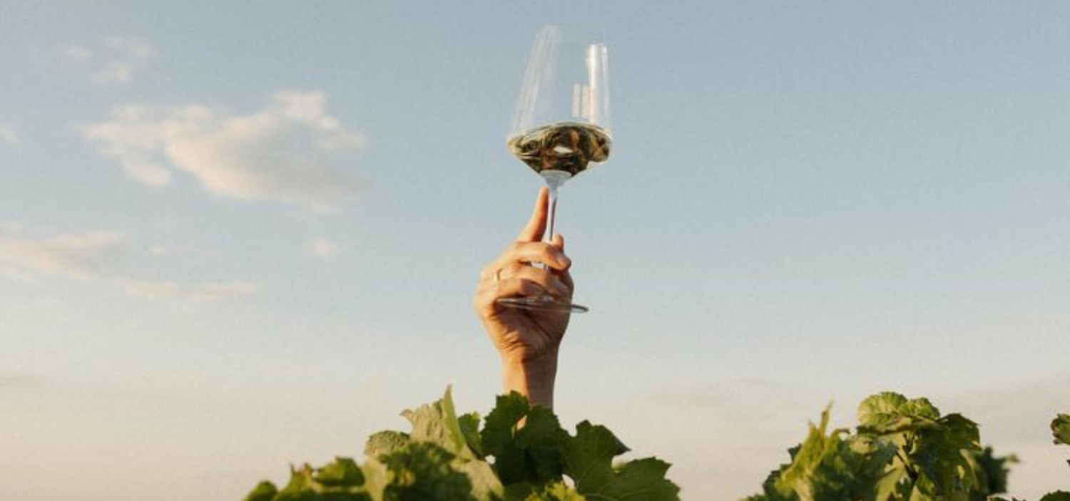 Discovery Wines & Spirits